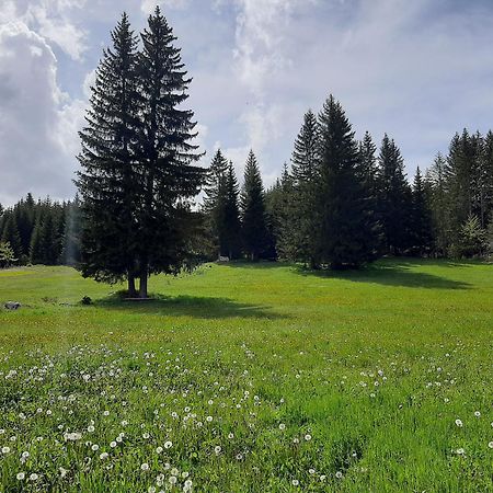Wooden Cottage Podgora جابلياك المظهر الخارجي الصورة